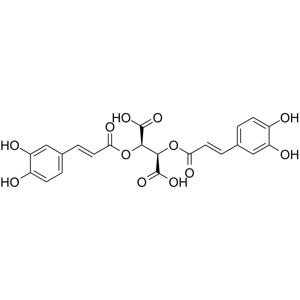 Cichoric-Acid