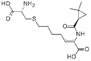 Cilastatin