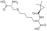Cilastatin