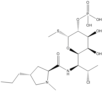 Clindamycin Phosphate