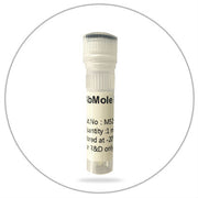 Deacetylase Inhibitor Cocktail (100X)