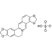 Coptisine-Sulfate