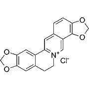 Coptisine chloride