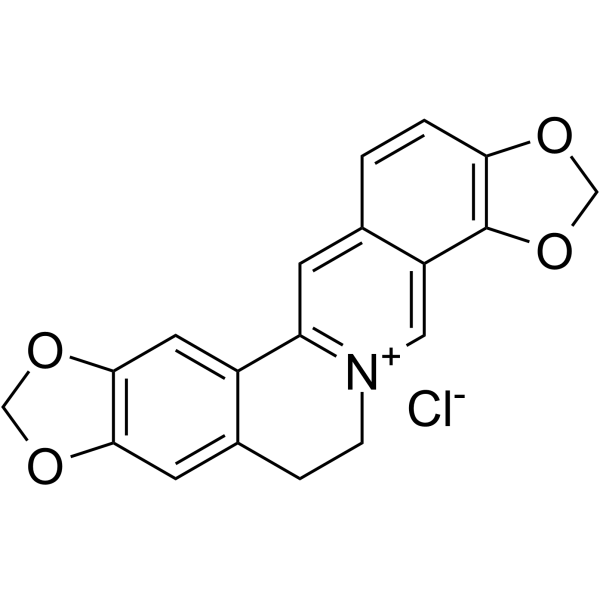 Coptisine chloride
