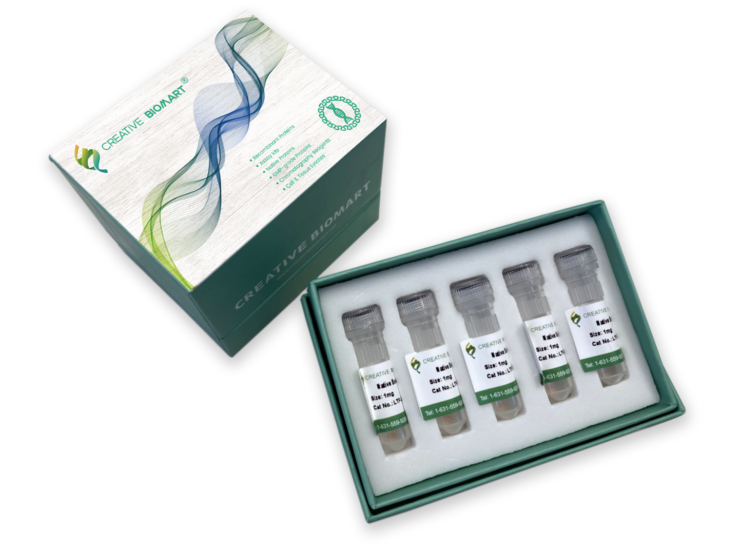 Recombinant Human FCGRT&B2M protein, His Tag