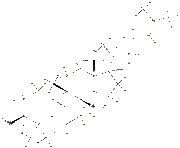 Cucurbitadienol