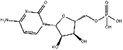 5'-Cytidylic acid