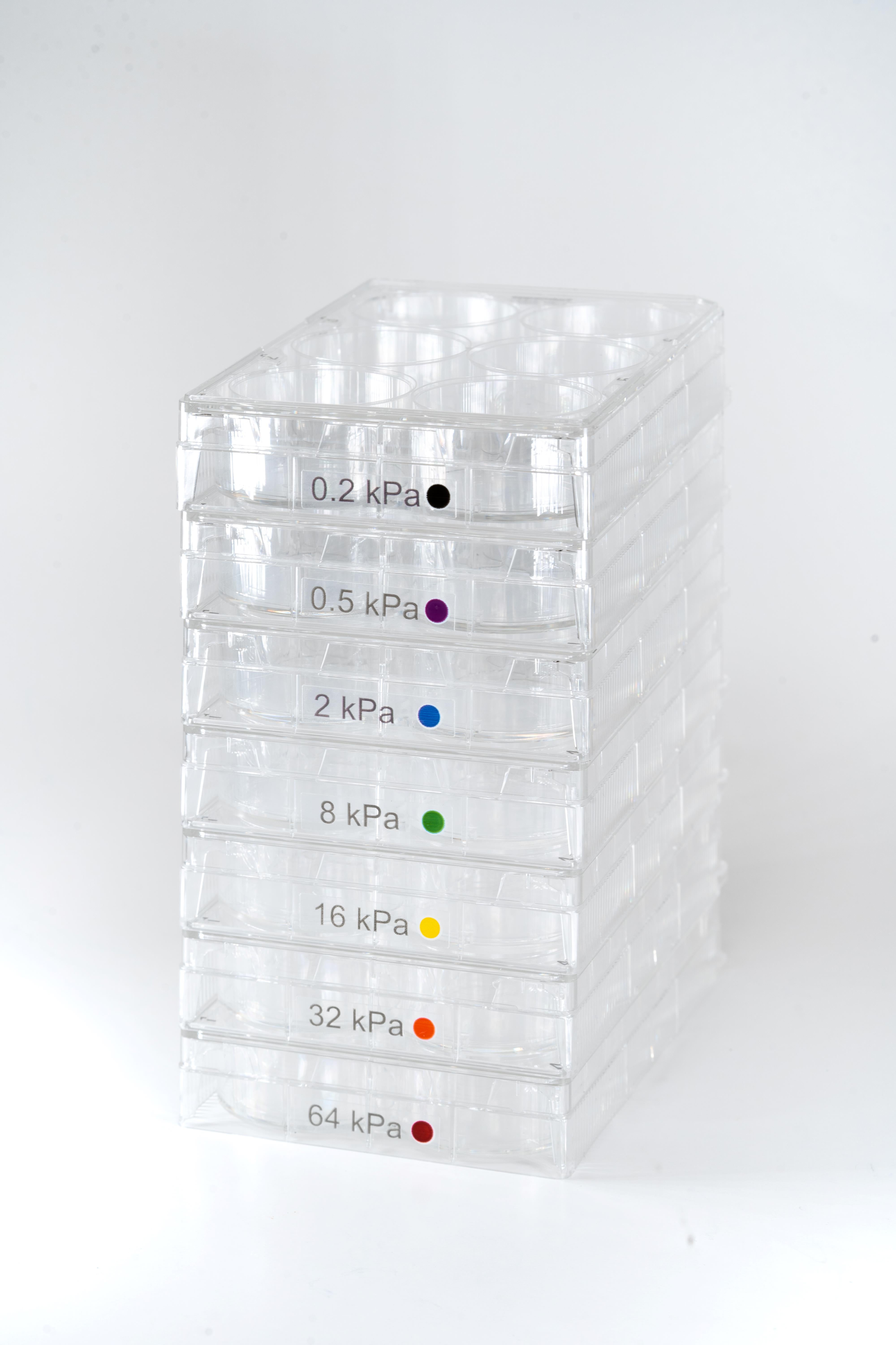CytoSoft® 6-well Plate, Elastic Modulus 0.2 kPa