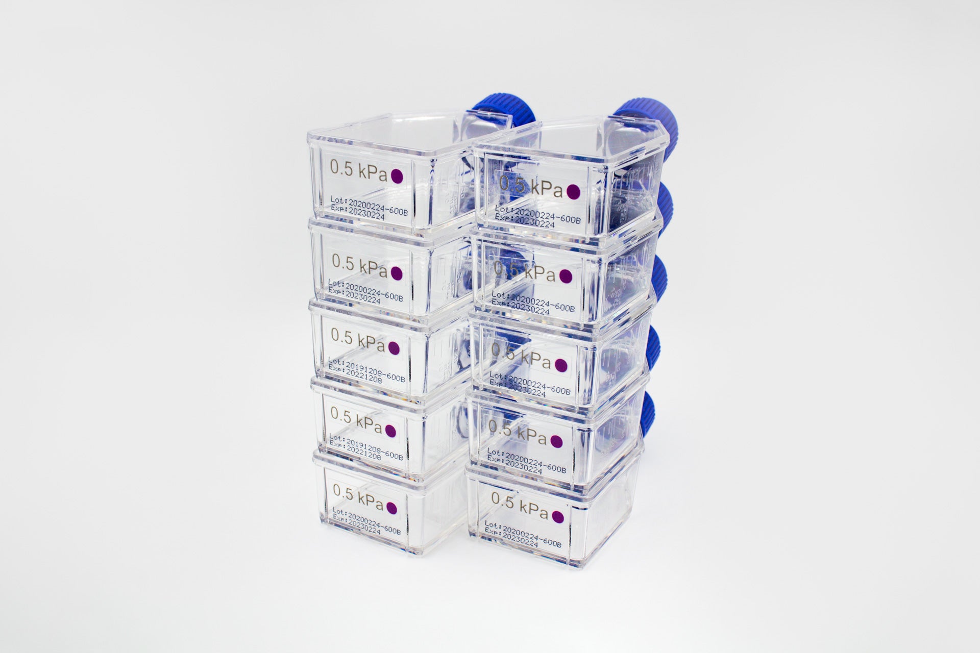 CytoSoft®, T-25 Flasks, Elastic Modulus 16 kPa