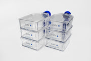 CytoSoft®, T-75 Flasks, Elastic Modulus 2 kPa