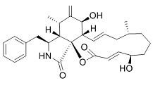 Cytochalasin B