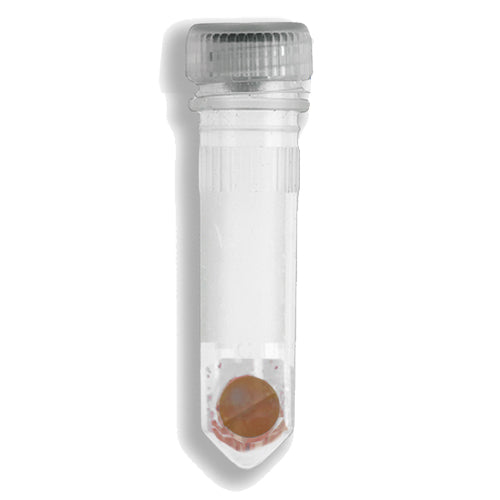 Prefilled 2.0Ml Tubes, Garnet Shards And One 6 Mm Zirconium Bead, 50Pk - Bead Media for Homogenizers - Benchmark Scientific