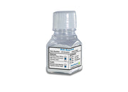 0.5Mm Zirconium Beads, Triple-Pure Molecular Biology Grade, 250G Bottle - Bead Media for Homogenizers - Benchmark Scientific