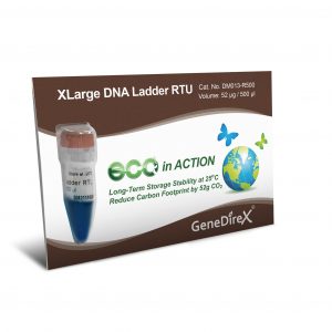 XLarge DNA Ladder RTU (Ready-to-Use) - DM013-R500