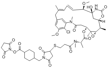 DM1-SMCC