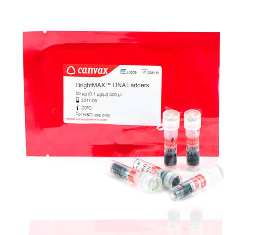 BrightMAX™ Lambda DNA/HindIII Marker