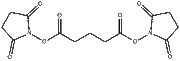DSG Crosslinker