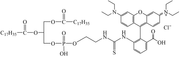 DSPE-Rhodamine