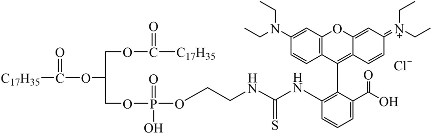 DSPE-Rhodamine