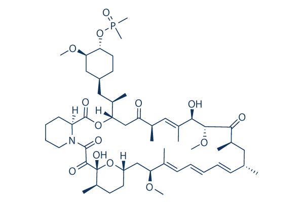 Ridaforolimus (Deforolimus, MK-8669) chemical structure
