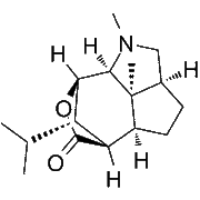 Dendrobine