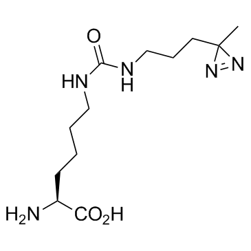 DiZPK