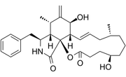 Dihydrocytochalasin B