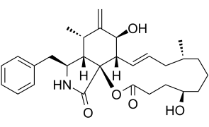 Dihydrocytochalasin B
