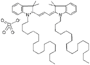 DiI