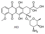 Doxorubicin HCL