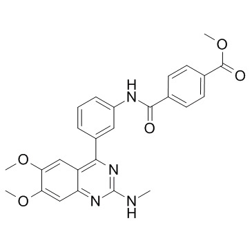 E6005