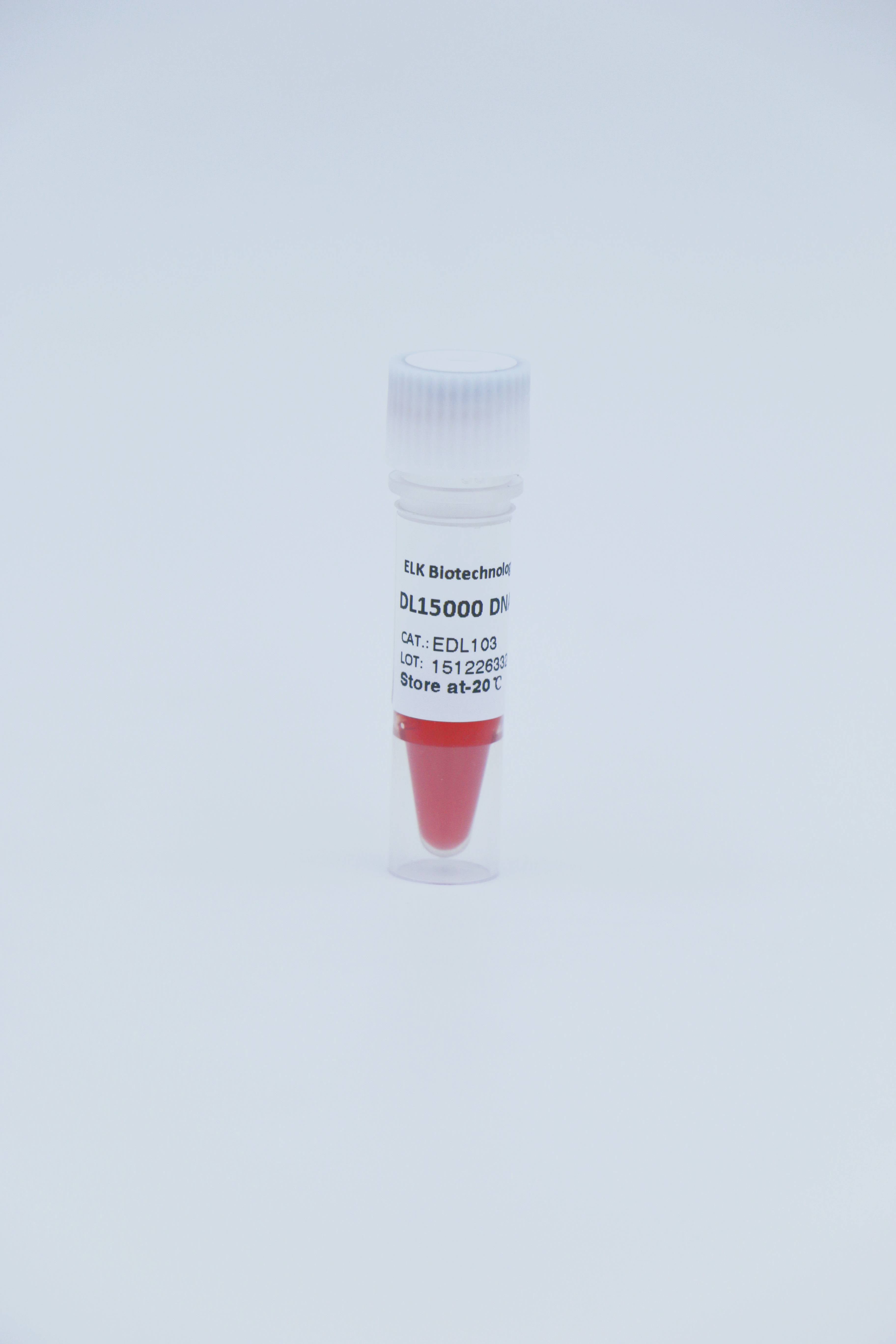 DL15000 DNA Marker                     250bp-15000bp