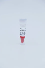 100 bp  DNA Ladder                        100bp-3000bp