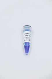 500bp DNA Ladder                          500bp-5000bp