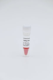 1kb plus DNA Ladder                     250bp-10000bp