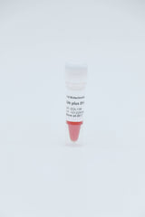 1kb plus DNA Ladder                     250bp-10000bp