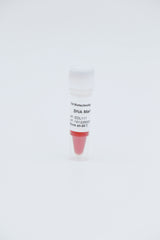 DNA Marker IV                                  200bp-4500bp