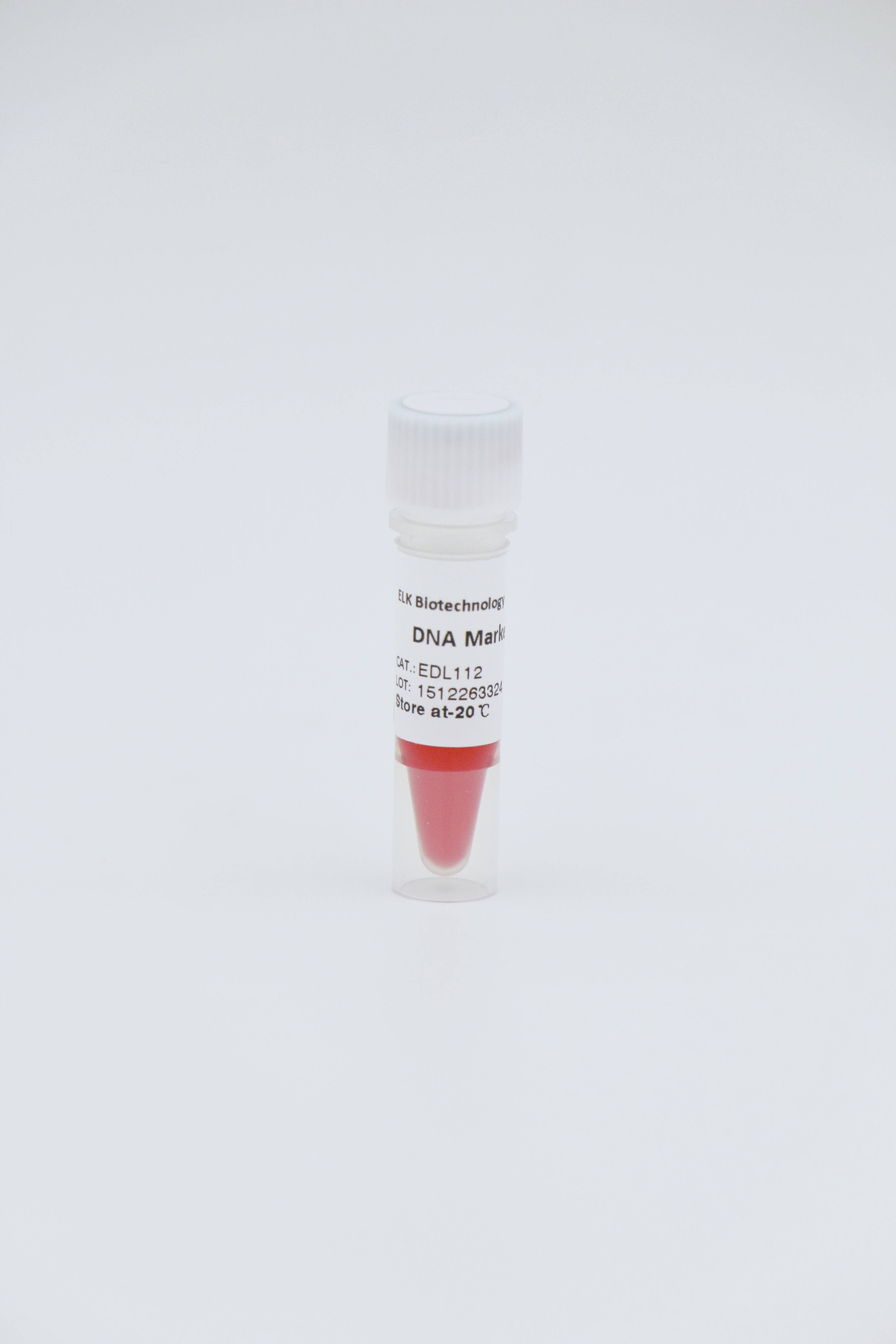 DNA Marker IV                                  200bp-4500bp