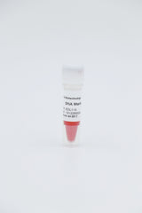 DNA loading buffer