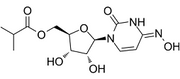 Molnupiravir (EIDD-2801)