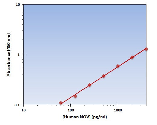 Human NOV ELISA Kit allows for the detection and quantification of endogenous levels of natural and/or recombinant Human NOV proteins within the range of 63-4000 pg/ml.