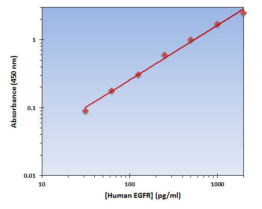 Human EGFR ELISA Kit allows for the detection and quantification of endogenous levels of natural and/or recombinant Human EGFR proteins within the range of 32-2000 pg/ml.
