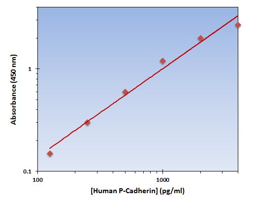 Human P-Cadherin ELISA Kit allows for the detection and quantification of endogenous levels of natural and/or recombinant Human P-Cadherin proteins within the range of 63-4000 pg/ml.