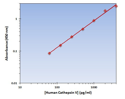 Human Cathepsin V ELISA Kit allows for the detection and quantification of endogenous levels of natural and/or recombinant Human Cathepsin V proteins within the range of 63-4000 pg/ml.