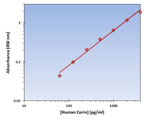 Human Corin ELISA Kit allows for the detection and quantification of endogenous levels of natural and/or recombinant Human Corin proteins within the range of 63-4000 pg/ml.
