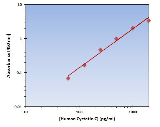 Human Cystatin C ELISA Kit allows for the detection and quantification of endogenous levels of natural and/or recombinant Human Cystatin C proteins within the range of 63-2000 pg/ml.