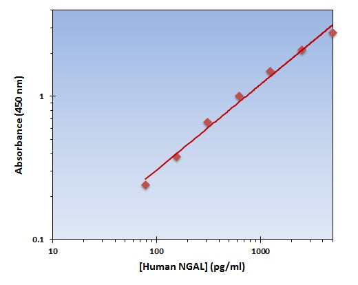 Human NGAL ELISA Kit allows for the detection and quantification of endogenous levels of natural and/or recombinant Human NGAL proteins within the range of 79-5000 pg/ml.
