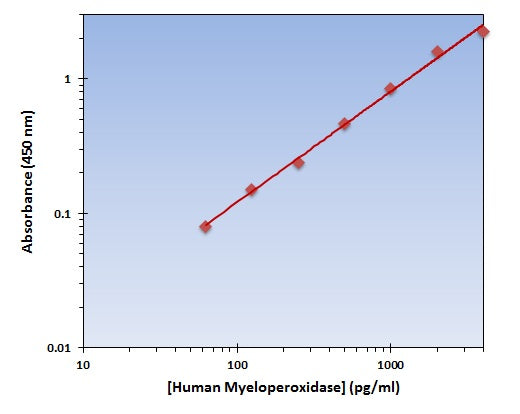 Human Myeloperoxidase ELISA Kit allows for the detection and quantification of endogenous levels of natural and/or recombinant Human Myeloperoxidase proteins within the range of 63-4000 pg/ml.
