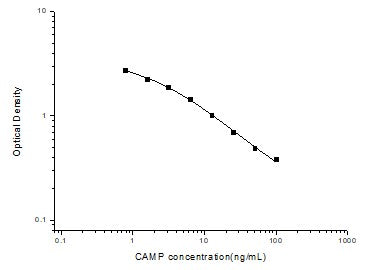 Standard Curve