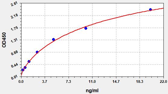 Standard Curve